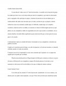 Castillo Sotelo Karen Sofía