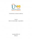 Antropología: Explorando la realidad local.