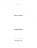 TRABAJO SOCIAL PRIMER SEMESTRE: MELODIA