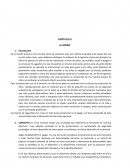 CAPÍTULO IV EL APEGO