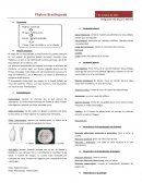 El origen de los braquiópodos