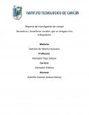 Reporte de incentivos y beneficios laborales