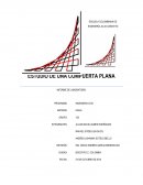 COMPUERTA PLANA