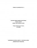 TRABAJO COLABORATIVO N° 2