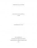 Informe de Siembras en quindio