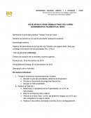 HOJA DE RUTA PARA TRABAJO FINAL DEL CURSO HERRAMIENTAS TELEMATICAS