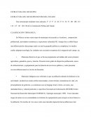 MUNICIPIO COMO PRIMER NIVEL DE GOBIERNO