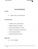 PLAN DE NEGOCIOS Cocola