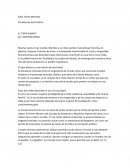 Ensayo El tigre blanco