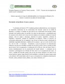 PLAZA DE MERCADO DE MONTERIA