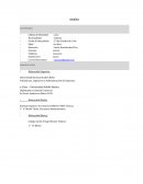 Formato para hacer un Cv