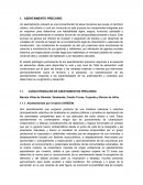 Consideraciones Tecnicas y Humanas