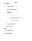 Caso Neuropsicologico