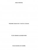 POLICIA NACIONAL DE COLOMBIA