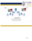 Organización: caso Dulces Ricos S.A