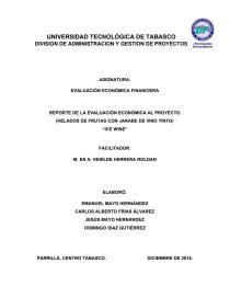 REPORTE DE LA EVALUACIÓN ECONÓMICA AL PROYECTO (HELADOS DE FRUTAS CON JARABE DE VINO TINTO) “ICE WINE”. Página 1