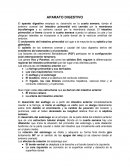 Resumen del sistema digestivo embriologia