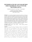 DETERMINACION DE LOS PARAMETROS FISICO-QUIMICOS EN EL PUNTO DE MUESTREO (SENA).