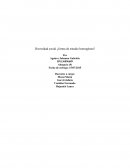 Diversidad social ¿forma de estudio homogénea?