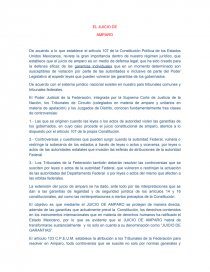 Conceptos basicos del juicio de amparo. Página 1