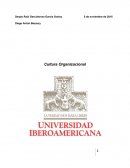IMPORTANCIA DE LA CULTURA ORGANIZACIONAL. CATEGORIÍAS CULTURALES