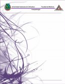 Tumoraciones Cervicales