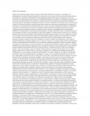 Como son los Debates sobre Zooterapias