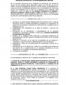 Ejemplo acta constitutiva