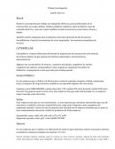 Trabajo Investigación Bosch