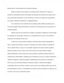 Derechos Humanos - Ensayo