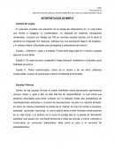 Interpretacion del minesota