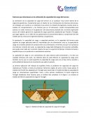 Estimación de capacidad de carga del terreno