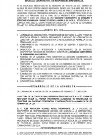 Ejemplo acta constitutiva - Tutoriales - 33 3900 9153