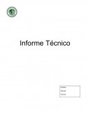 Informe de investigación de ejecución del levantamiento topográfico en la Costanera de Ovalle