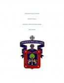 DERECHO PENAL, CASO PRÁCTICO