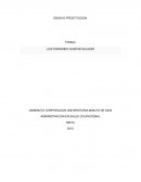 ENSAYO PROSTITUCION EN NEIVA