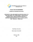 PROPUESTA PARA IMPLEMENTAR METODOLOGÍA 5 S´S PARA MEJORAR LAS CONDICIONES Y ESPACIOS DE TRABAJO EN EL AREA DE PRODUCCIÓN DE LA EMPRESA MUEBLERÍA METALICA