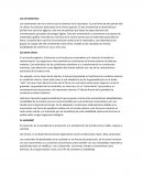 Ensayo - Los ornamentos