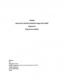 Trabajo Gestion Ambiental Segun ISO 14001