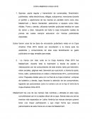 Informes De Copa america