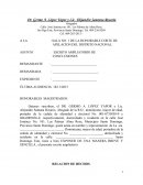 ESCRITO AMPLIATORIO DE CONCLUSIONES