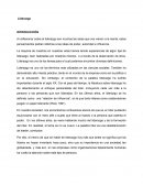 Liderazgo y su funcionamiento mundial