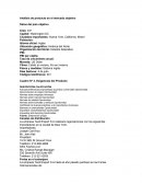 UN GRAN ANÁLISIS DEL PRODUCTO EN EL MERCADO OBJETIVO