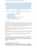 ¿Que entiendes por política organizacional de una empresa?