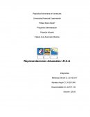 Trabajo de analisis. representaciones aduanales I.R.C.A