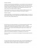 Perspectiva optimista.