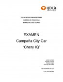 Estimado cliente, en primera instancia usted nos solicitó asesoramiento para tratar de aumentar las ventas del modelo Chery IQ