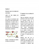 Tema de ¿Qué es una cadena de suministro?