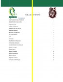 Medición de área de 3 figuras en java