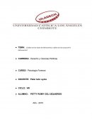 ¿Cuáles son las clases de delincuentes y cuáles son las causas de la delincuencia?